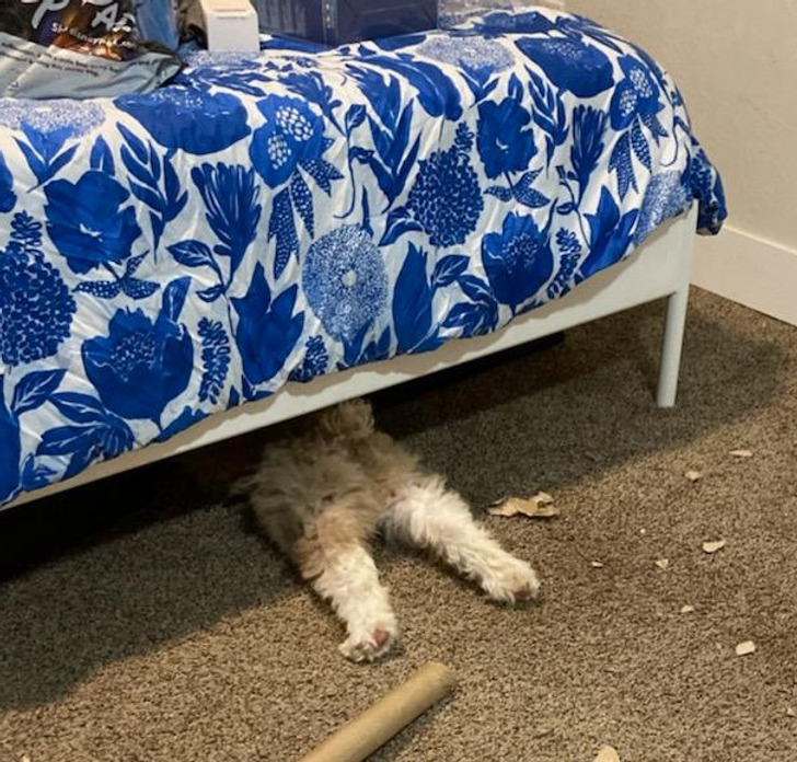 15175d5edd8fbde2d1839f8b97 15175d5edd8fbde2d1839f8b97