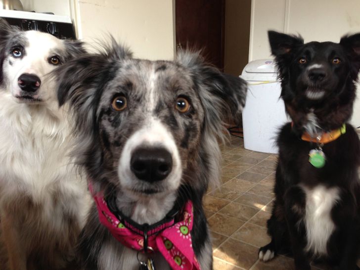 151b795032be9768ed1375640e