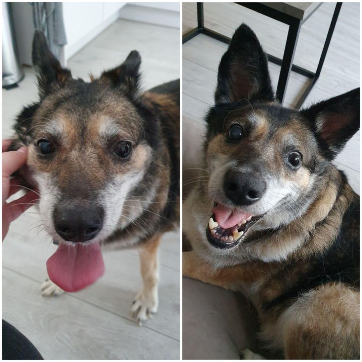 15251c504580b072ca36765fae