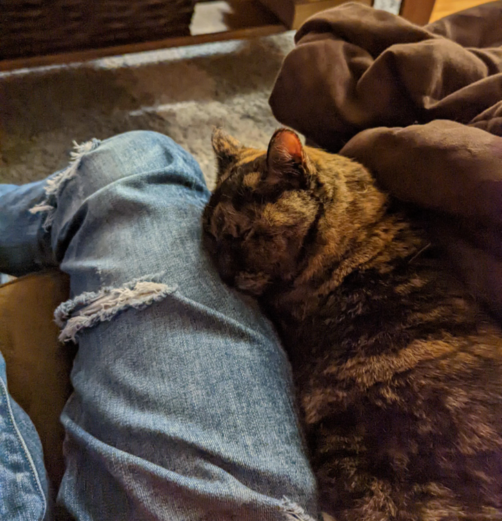 1525815b159f507afc3ffd5f4f 1525815b159f507afc3ffd5f4f