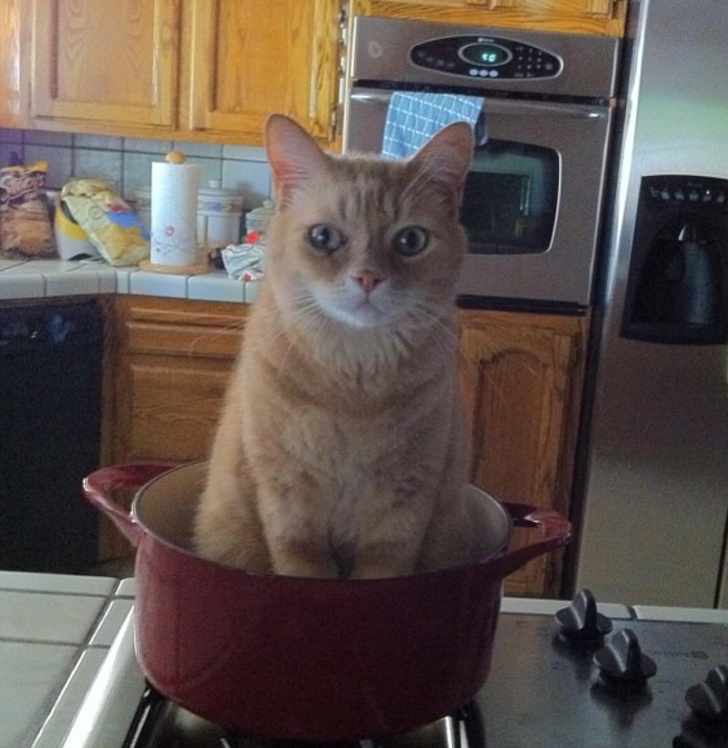 152bcb5f629d5522f3ee1827a7