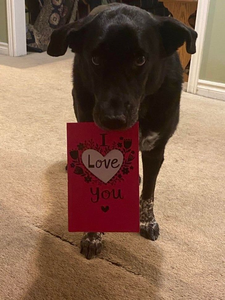 1538f85d10be7a0a5285337a45