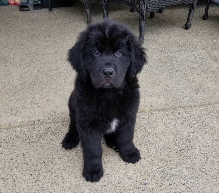 1540855d31b65840566b1628dc