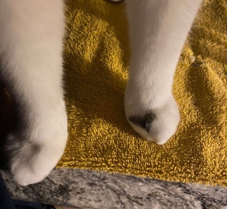 154a8d5211956382237946fd21