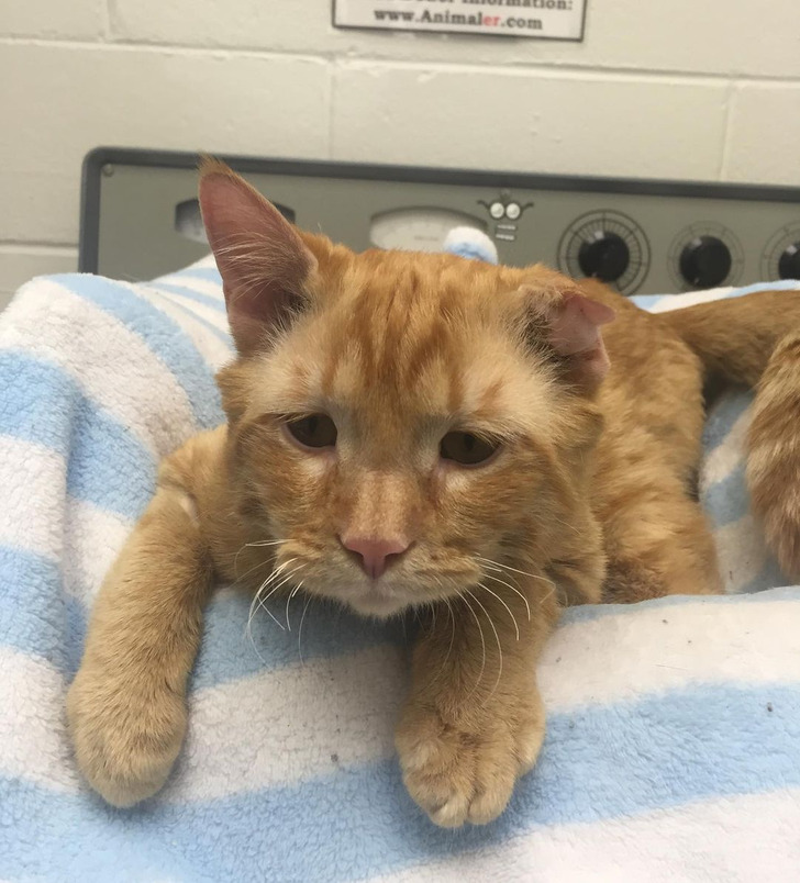 154e9f519db45c409ce80347f2