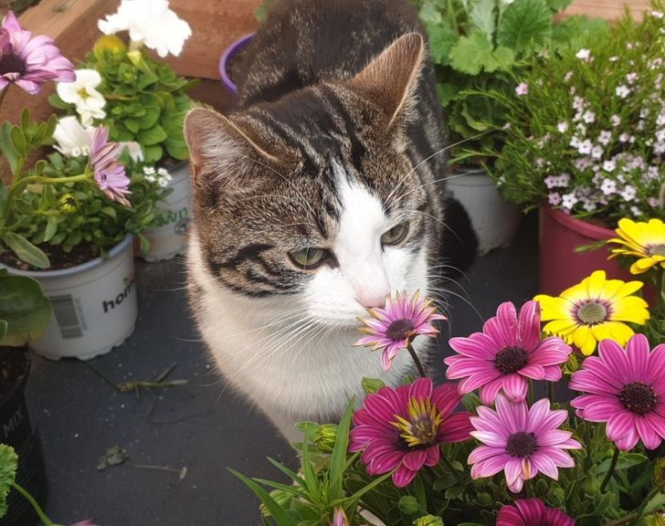 154fec50a0907209abf19e5f8d