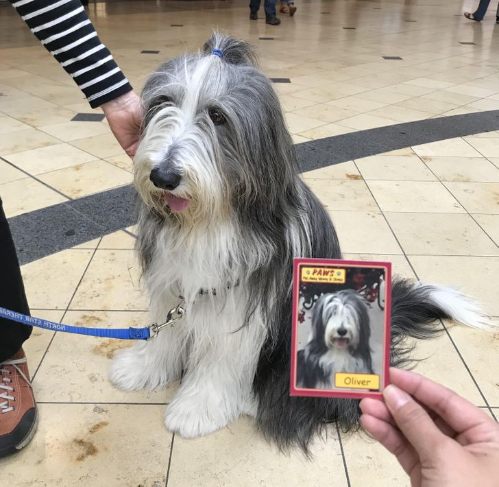 155368568cad3005202831fd80