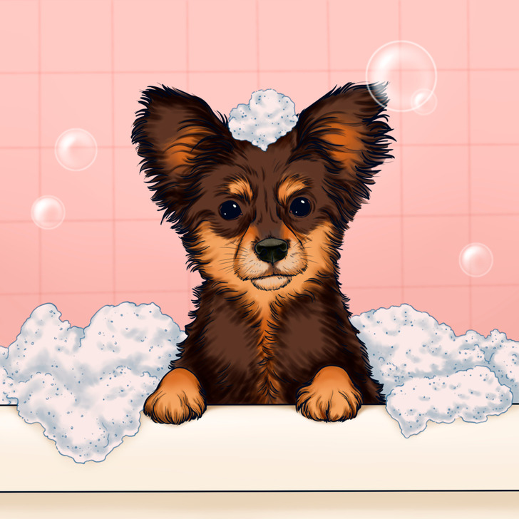 155e2f57ee93aff75451a1986b 155e2f57ee93aff75451a1986b