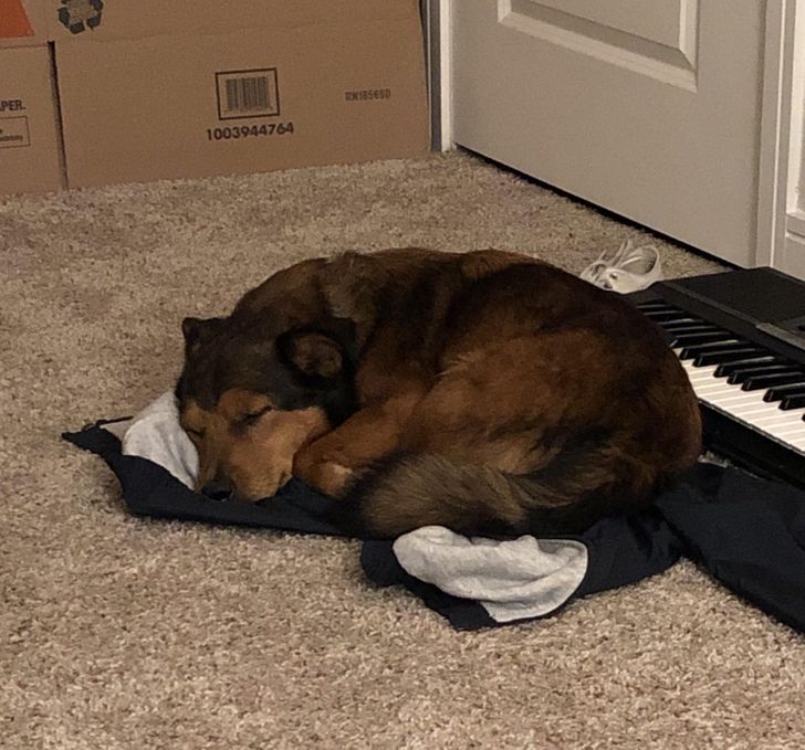 155ebc5312968f346d1bd2f46f