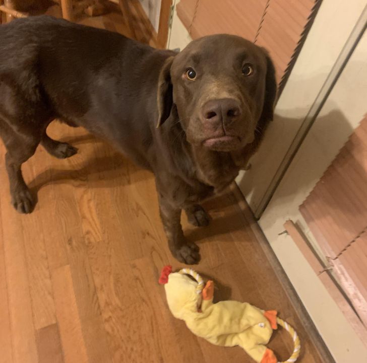 1561c95047bd1be9c9c3c94c11