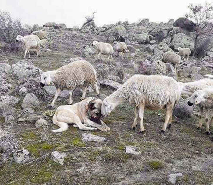 1565ba5e3aa08889ad8b2a4b8e