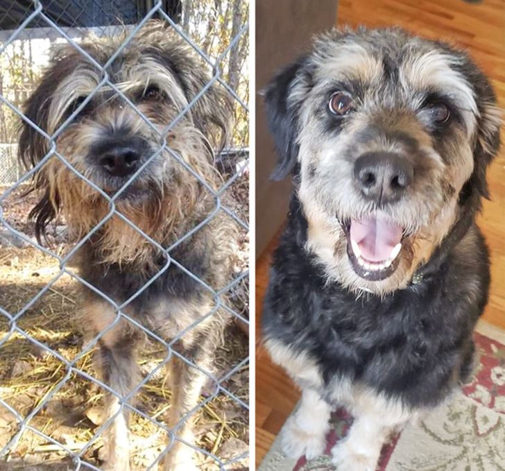 1569b25a9b85d5338718cd6288