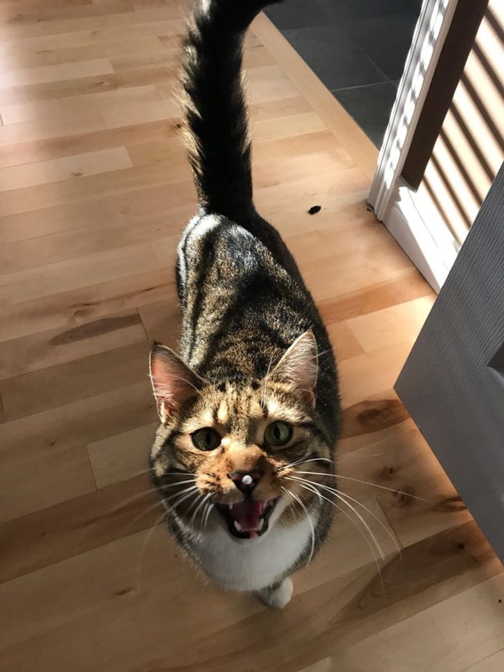 156cfc524e904692df77ac4365