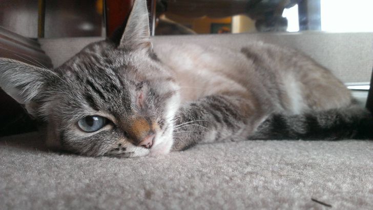 157e0958c4af32c2844678191e