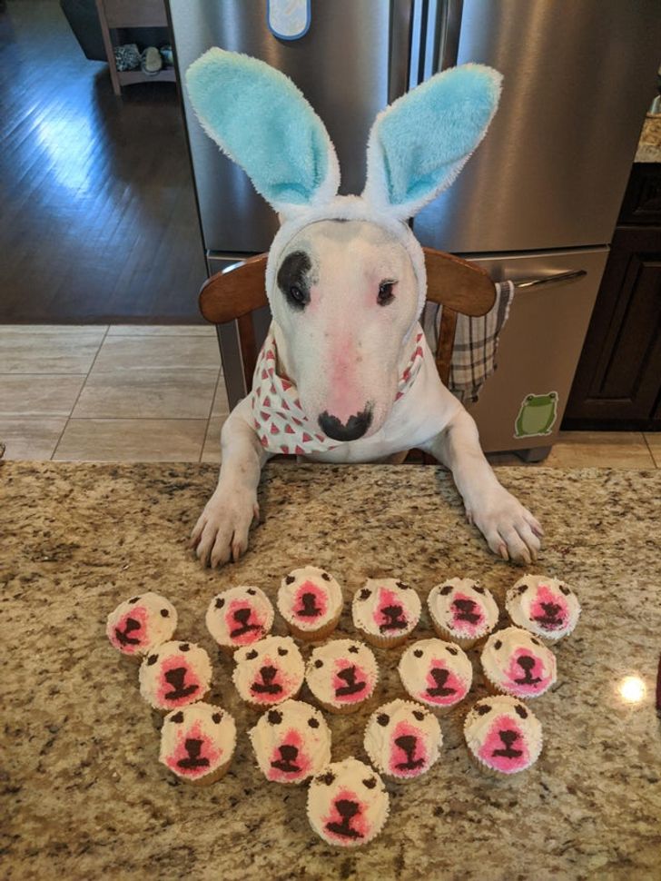 1584475cb6ace467cfb1cd45ab