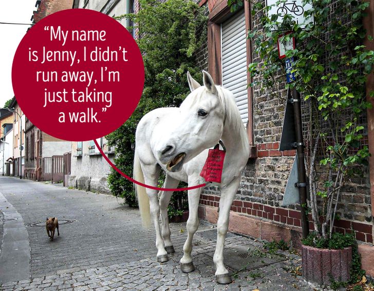 15845559449666967f6321a9c5