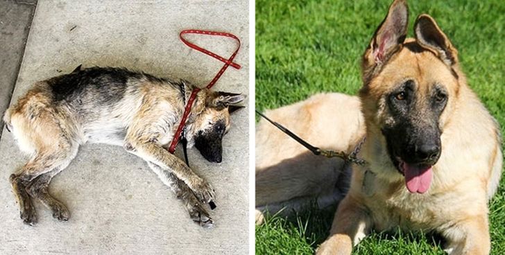 1586615cab84c9026b0a0acc70