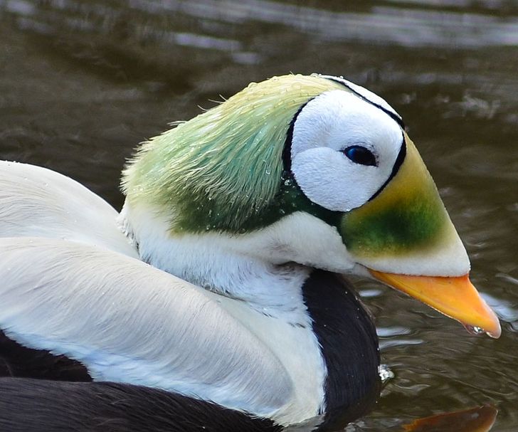 15871b5d58add0d4238cf918d9