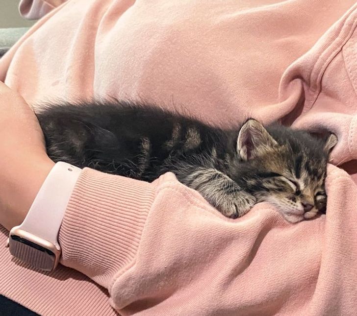 158a82568a8b1f842cd908cabe