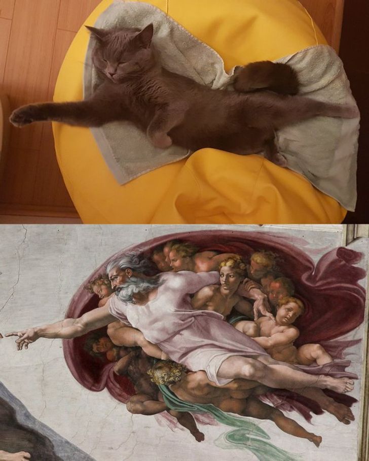 158b305933815e581c5a10400d