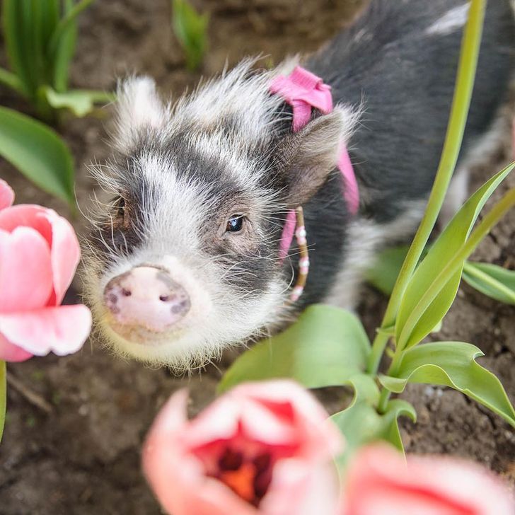 158ce85afdbc0627055b7d4f60