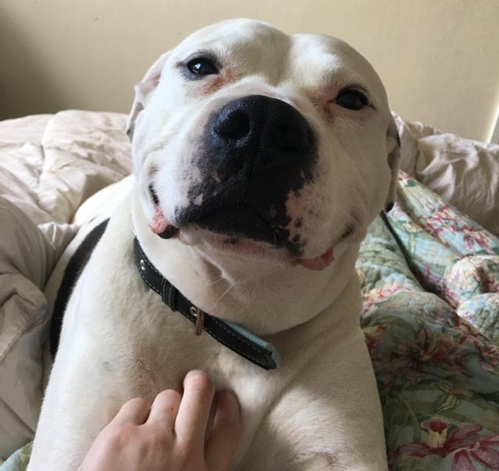 159c5c5502ab4b8af3a35ade60