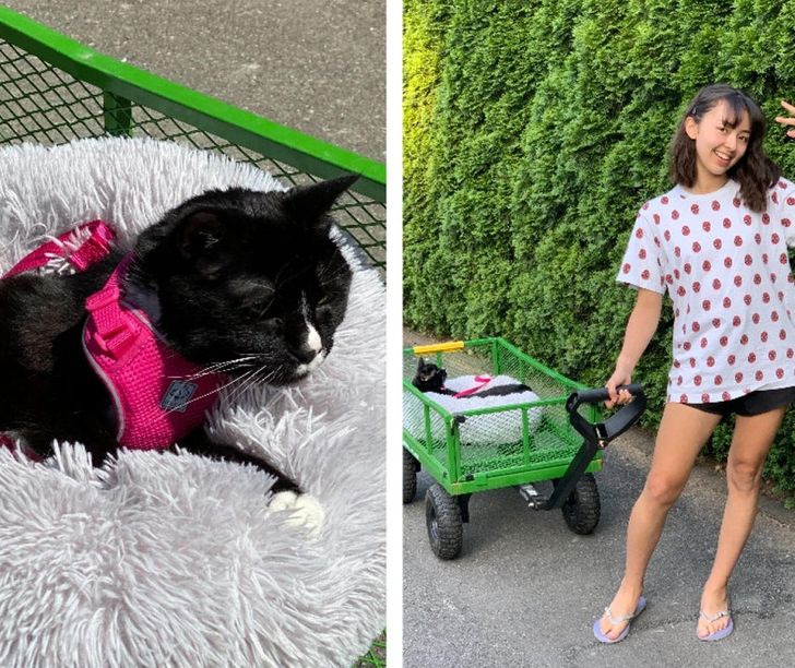 15a1535d25b605110b8c030883