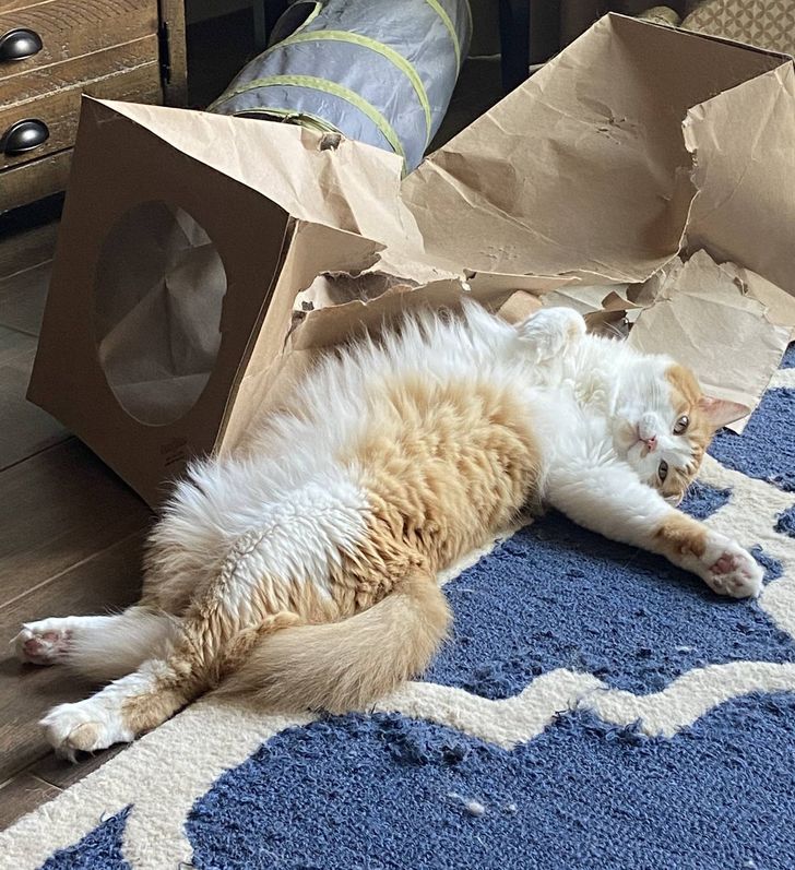 15aa8756789983cc1fc58fe0a9