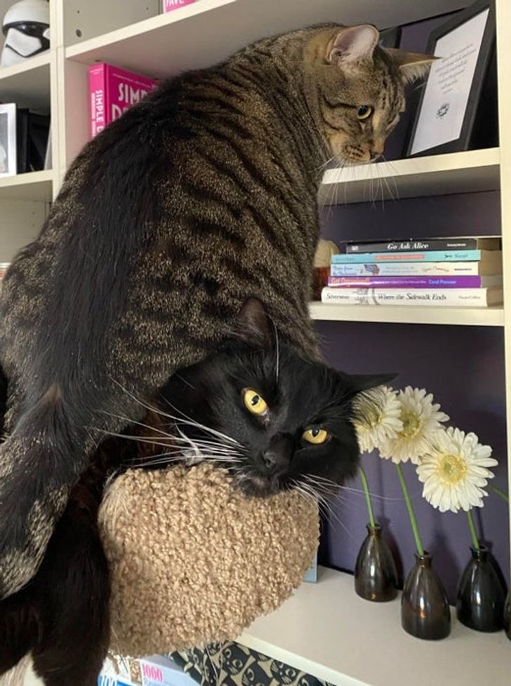 15afd25101b5988c667932d7e5