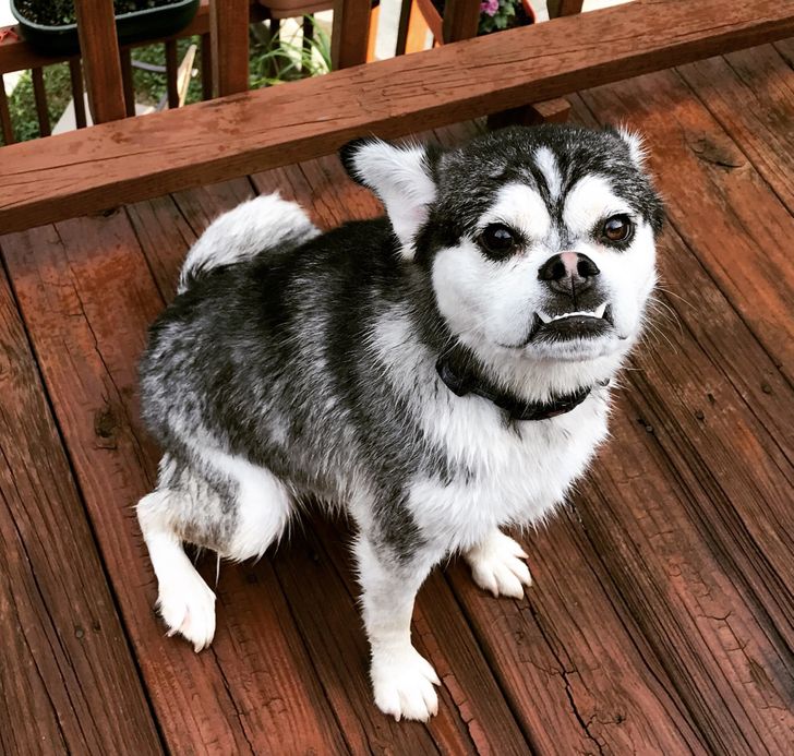 15b590527887e2cbf2c08158dd