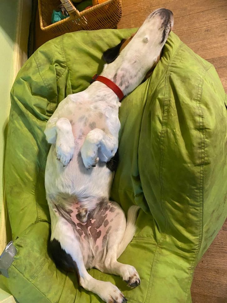 15b9405e3098aedbd8c2d84420