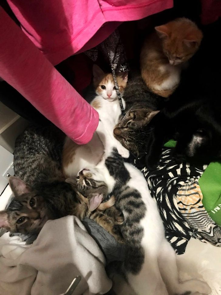 15bf0155a8a09b13b7f6856723 15bf0155a8a09b13b7f6856723