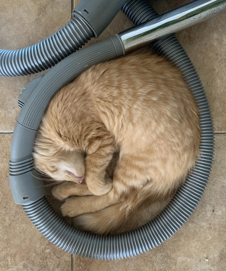 15bf38572bb33e8b7b992ee2e9 15bf38572bb33e8b7b992ee2e9