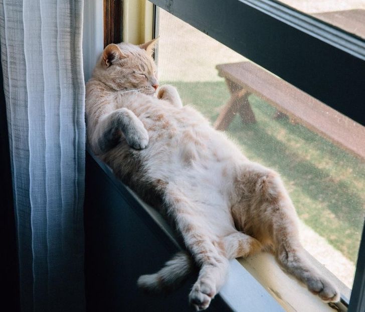 15bf99586b8be0752a8ec35b2b