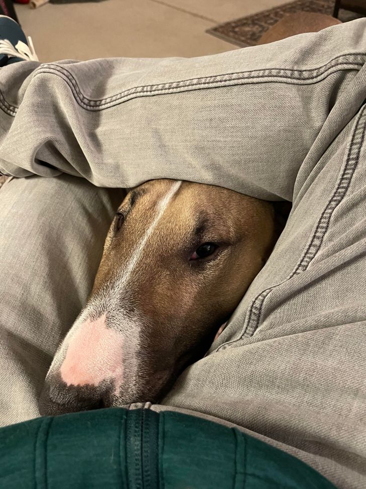 15c380510c869764e00aea1244