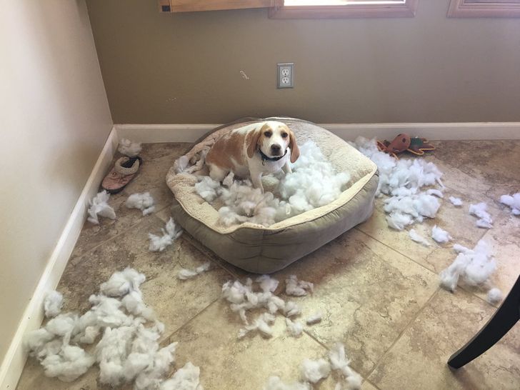 15ce2551a0a71d275df453645b