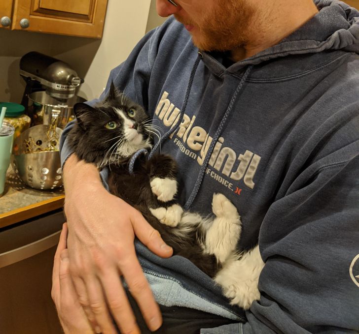 15cffe5d8fb5955dffc528ada8