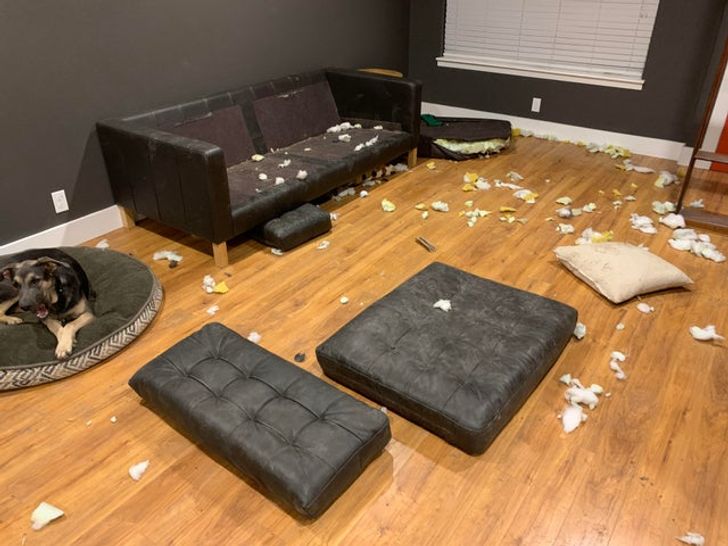 15d29f5d3485b3ea1c862a6ac4