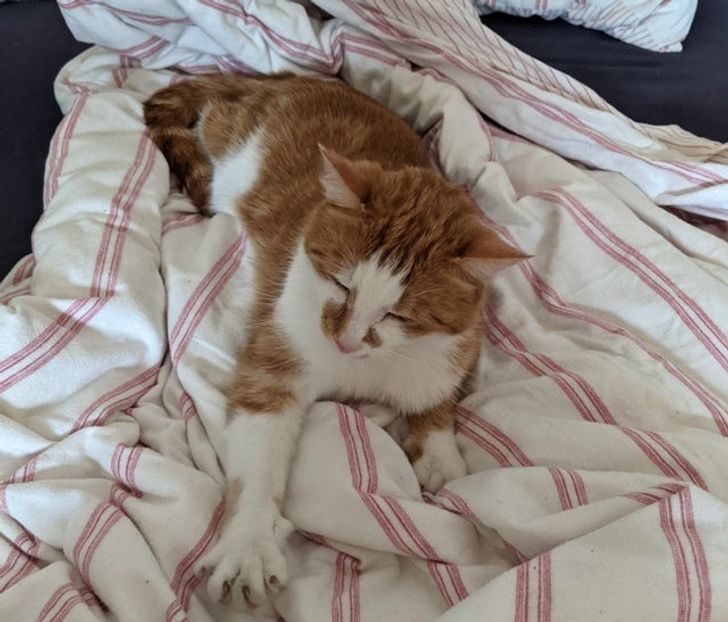 15d86b55eca9bb157476a82e48 15d86b55eca9bb157476a82e48