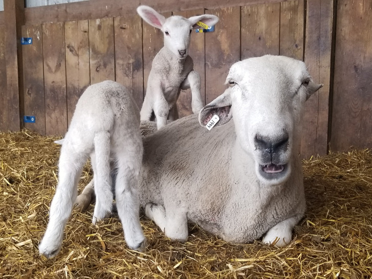 15ddac56a9ab98a89189f3e400 15ddac56a9ab98a89189f3e400