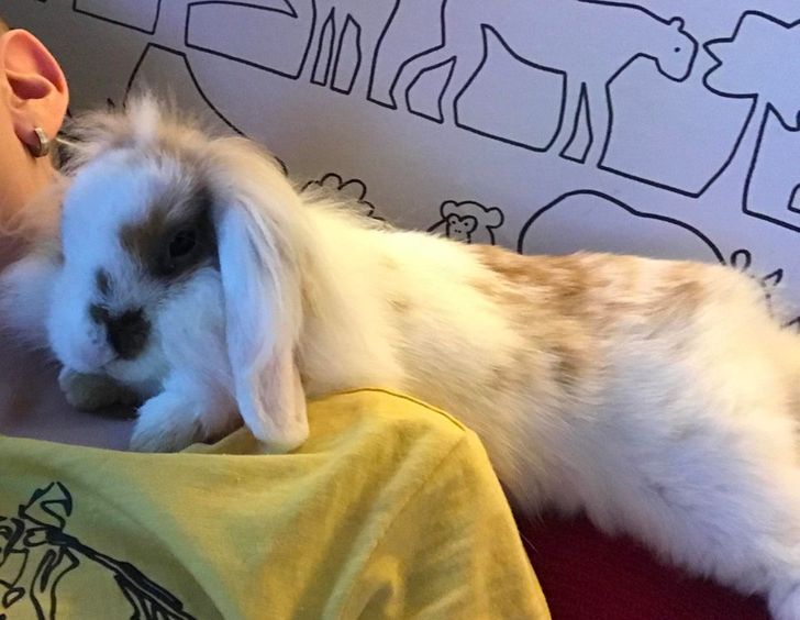 15e16c528c86b7f0c8692729ea