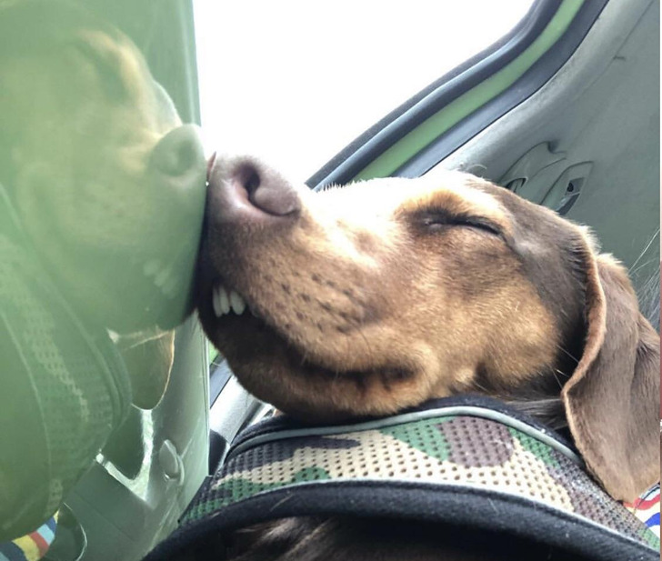 15e8f851eeb933798df20b73f6 15e8f851eeb933798df20b73f6