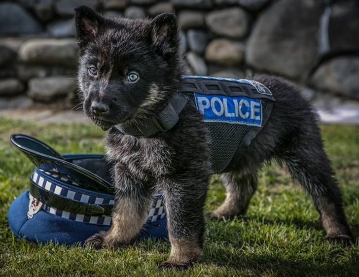 15ecaf5d928bb2d1feb65994c8