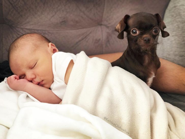 15ef125687a42bfb5e5e4992eb