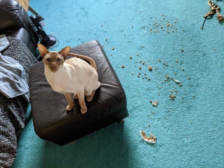 15ef1456d88a54d6eaa51d0e63