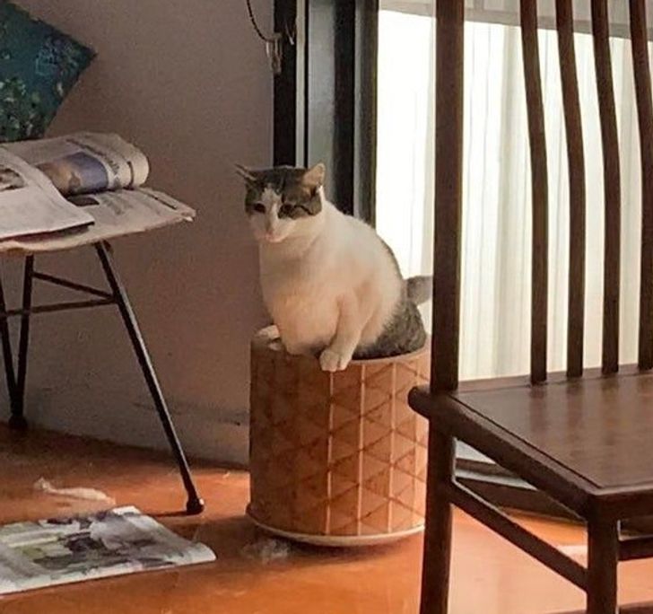 15ef57540cbd72895068199a3a