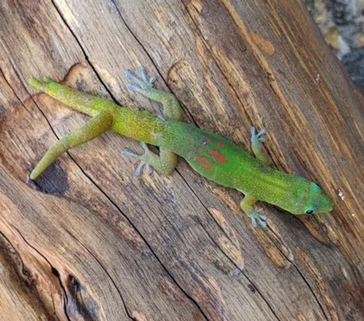 15ef8d528daba5c1b4f39d7d8f