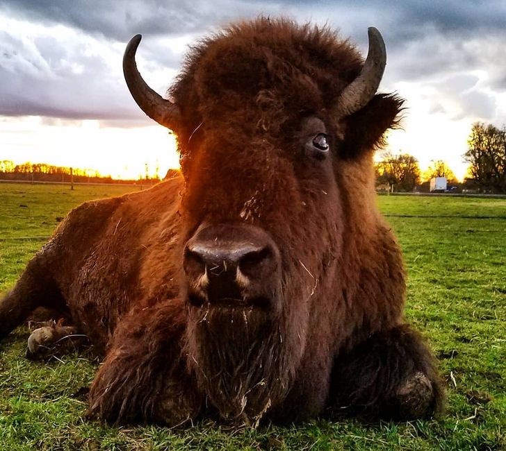 16025e5657bbbe02d124db4dd9