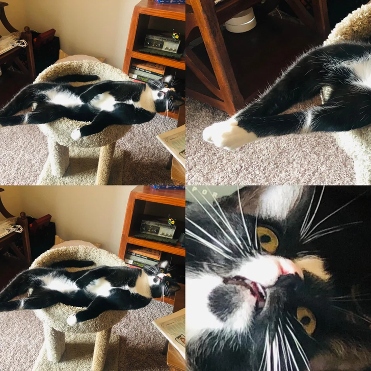 16083c53d0af0ec44be07d4736