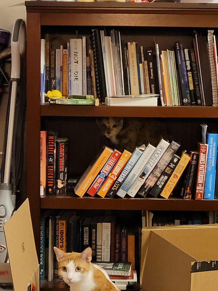 1609e659cb9fe152a3f879ebdd